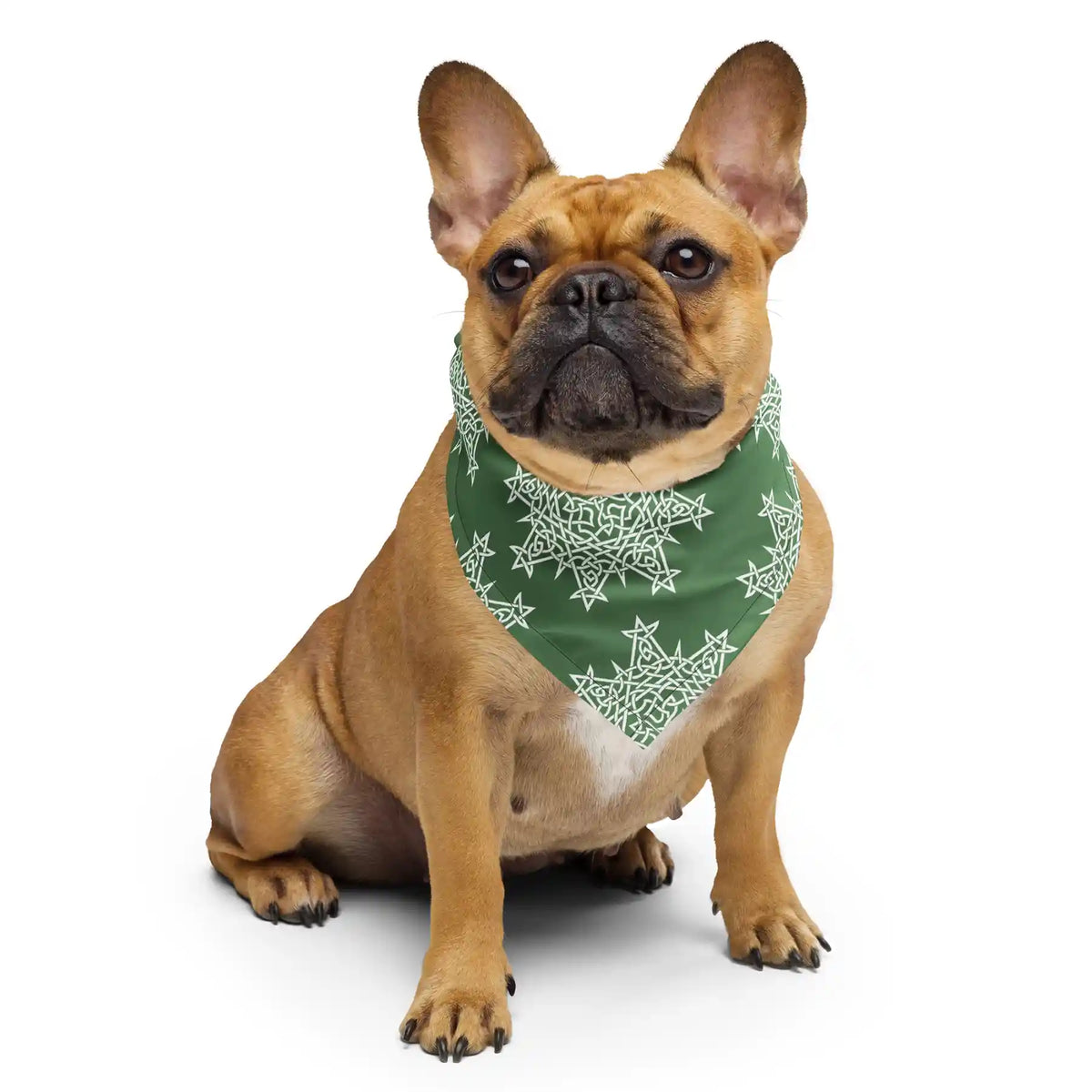 A puppy shown wearing a Xigfireon bandana adorned with the Morning Star Fire Olive Green and White Celtic knot pattern.